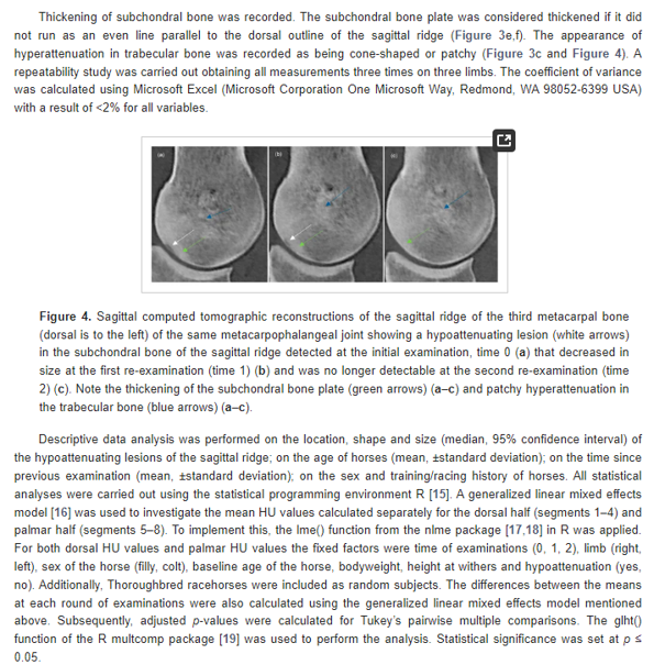 Computed Tomographic Evaluation of the Sagittal Ridge of the Third Metacarpal Bone in Young Thoroughbred Racehorses: A Longitudinal Study