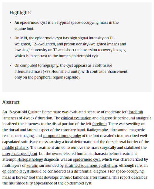 Computed Tomography and Magnetic Resonance Imaging of an Epidermoid Cyst in a Foot of a Horse