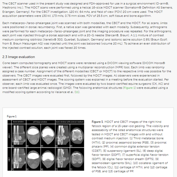 Visualization of anatomical structures in the fetlock region of the horse using cone beam computed tomography in comparison with conventional multidetector computed tomography