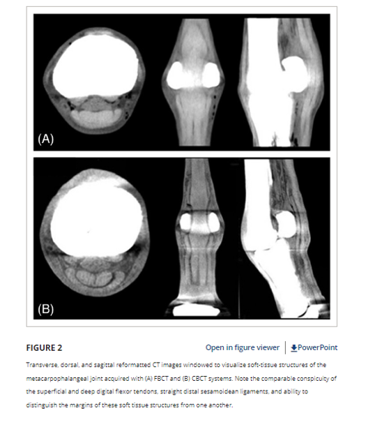 Cone-beam computed tomography produces images of numerically comparable diagnostic quality for bone and inferior quality for soft tissues compared with fan-beam computed tomography in cadaveric equine metacarpophalangeal joints