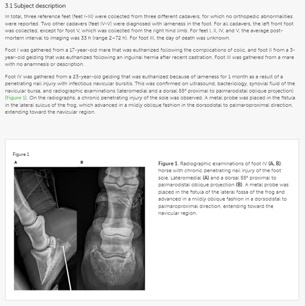 Post-mortem feasibility of dual-energy computed tomography in the detection of bone edema-like lesions in the equine foot: a proof of concept