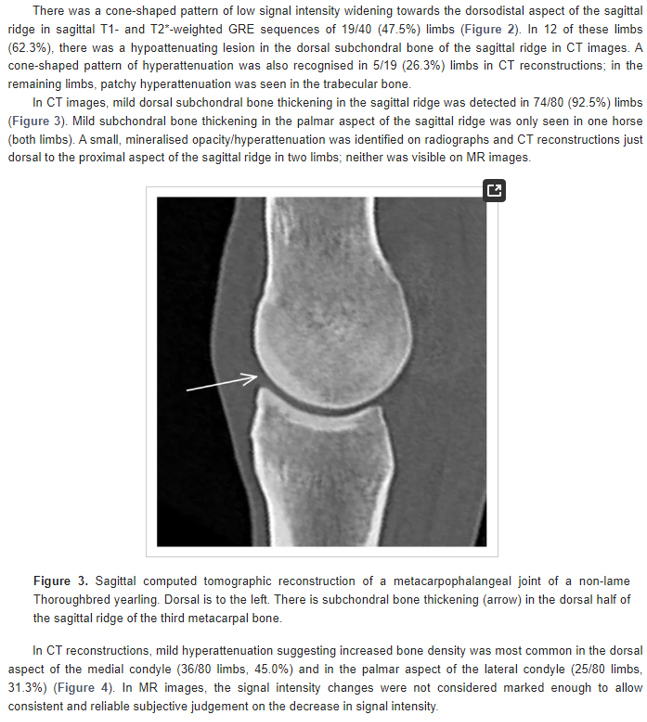 Magnetic Resonance Imaging, Computed Tomographic and Radiographic Findings in the Metacarpophalangeal Joints of 40 Non-Lame Thoroughbred Yearlings